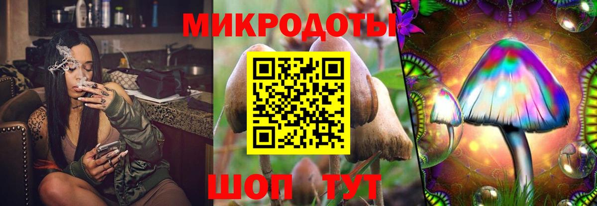 Псилоцибиновые грибы Psilocybine cubensis Ефремов